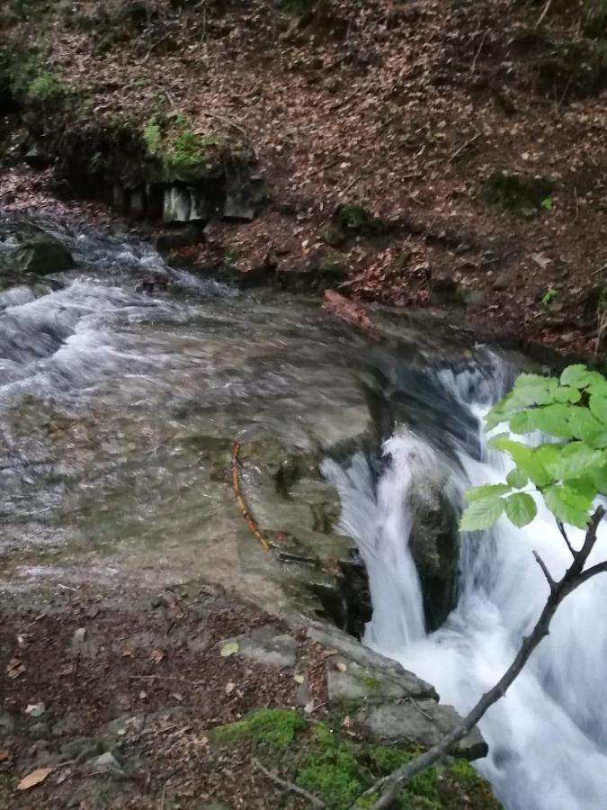 Chalpa Na Skarpie Villa Meszna Bagian luar foto
