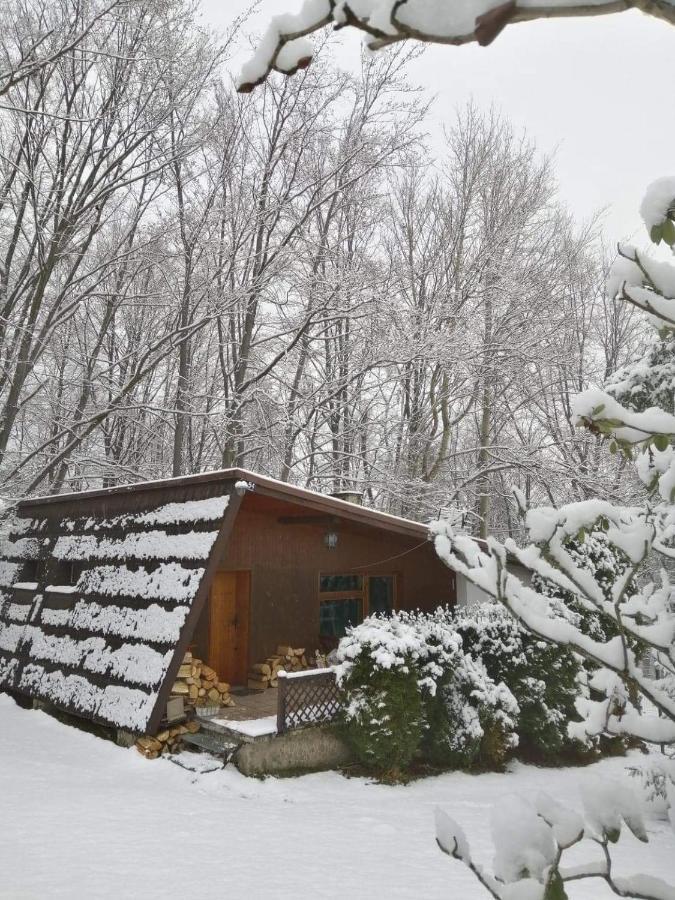 Chalpa Na Skarpie Villa Meszna Bagian luar foto
